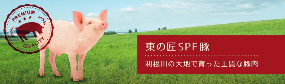 「東の匠 SPF豚」は利根川の大地で育った上質な豚肉です。